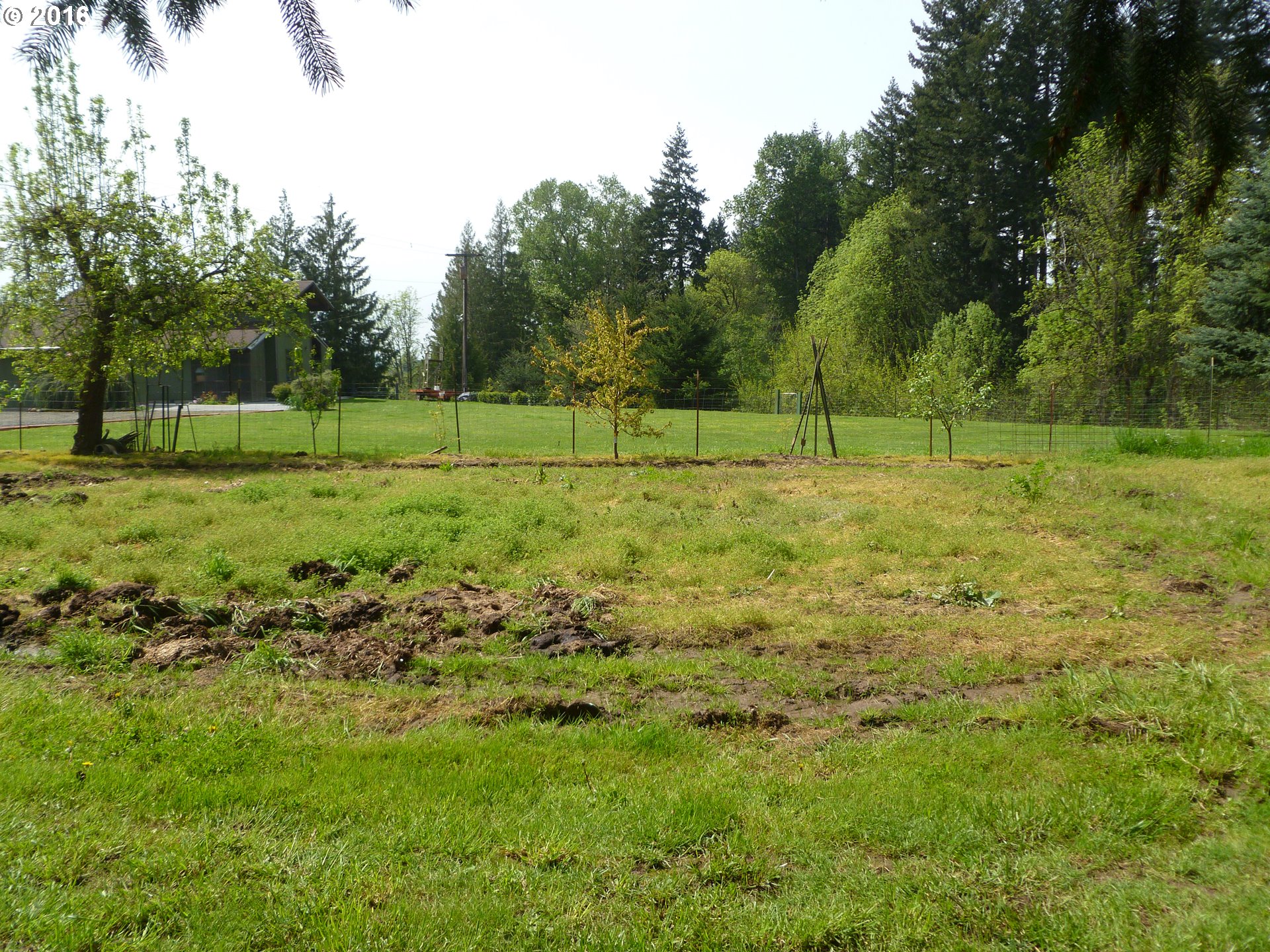 4382 South Elliott Prairie Road Woodburn, OR 97071 - Photo 10 of 23