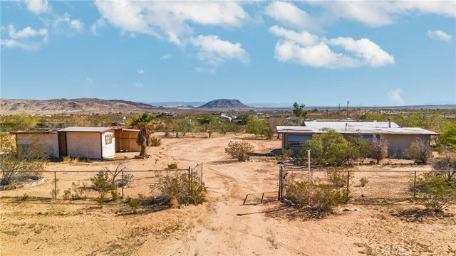 a view of a dry yard with trees