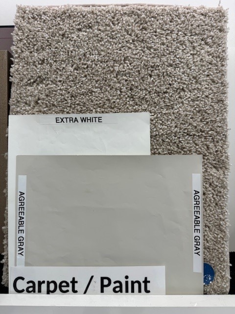 4402 Crossfield Road Fulshear, TX 77441 - Photo 19 of 23 Carpet and Paint