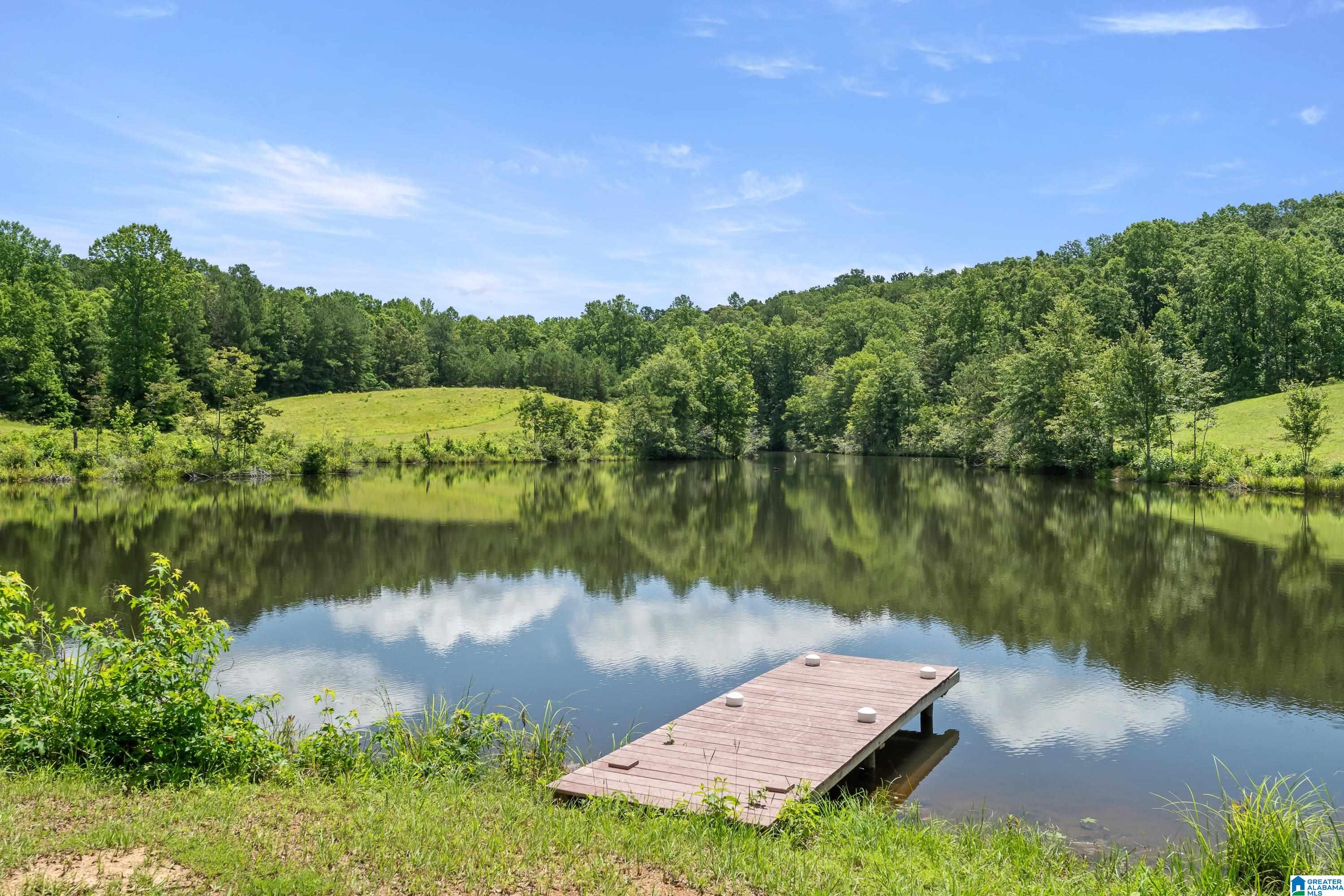 320 Wolf Pen Ridge Road Pell City, AL 35128 - Photo 88 of 100
