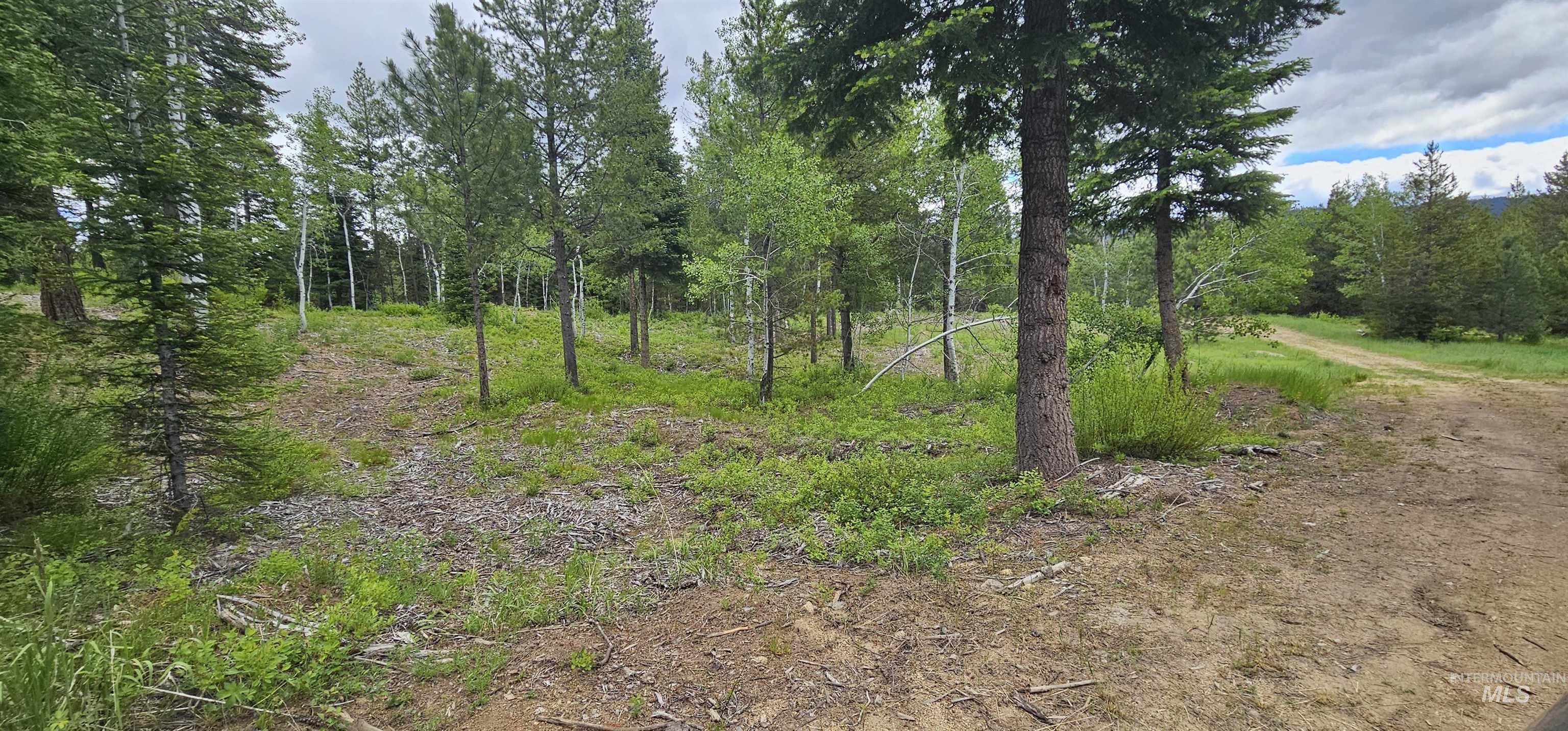 23 Sawtooth Loop Cascade, ID 83611 - Photo 35 of 45