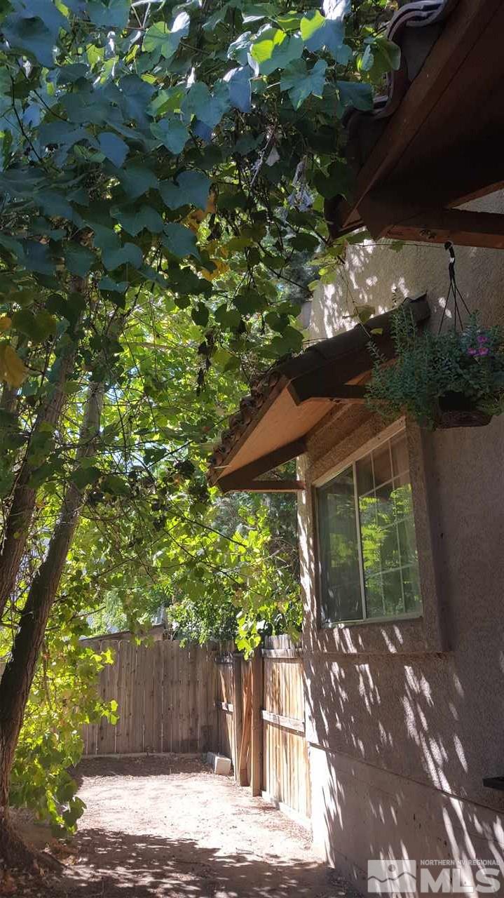 1120 Jones Street Reno, NV 89503 - Photo 24 of 25 a view of a backyard with plants
