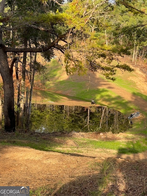 683 Union Church Road Morris, GA 39867 - Photo 19 of 26