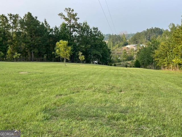 683 Union Church Road Morris, GA 39867 - Photo 20 of 26