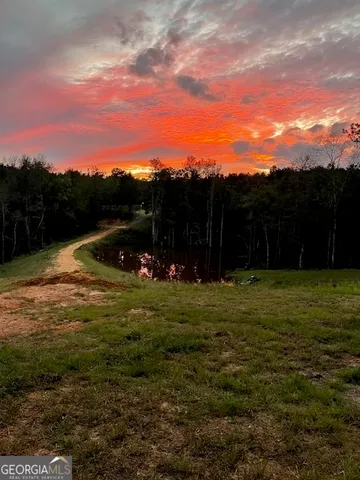 $1,299,999 | 683 Union Church Road, Morris, GA 39867