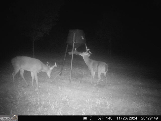 683 Union Church Road Morris, GA 39867 - Photo 22 of 26