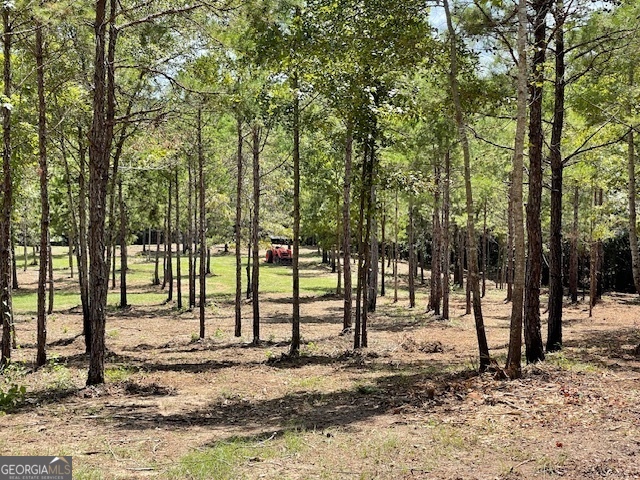 683 Union Church Road Morris, GA 39867 - Photo 24 of 26