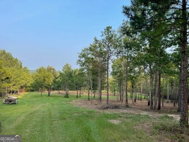 $1,299,999 | 683 Union Church Road, Morris, GA 39867