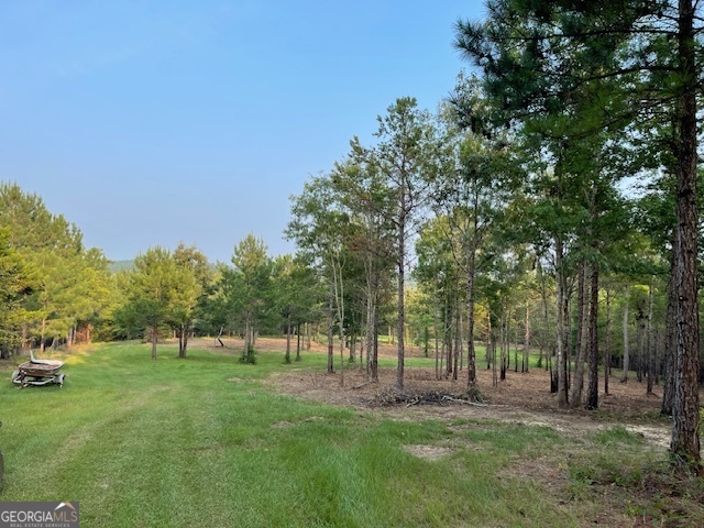 683 Union Church Road Morris, GA 39867 - Photo 25 of 26