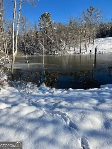 $1,299,999 | 683 Union Church Road, Morris, GA 39867