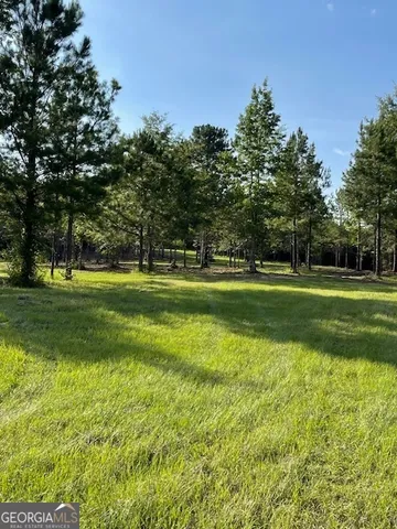 $1,299,999 | 683 Union Church Road, Morris, GA 39867