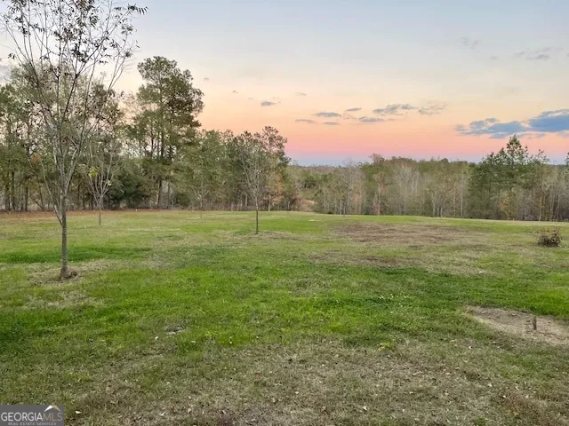 $1,299,999 | 683 Union Church Road, Morris, GA 39867