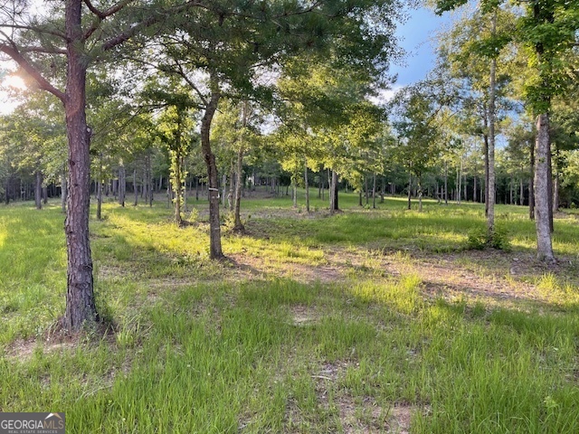 683 Union Church Road Morris, GA 39867 - Photo 9 of 26