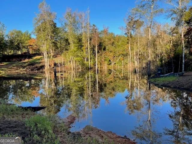 $1,299,999 | 683 Union Church Road, Morris, GA 39867