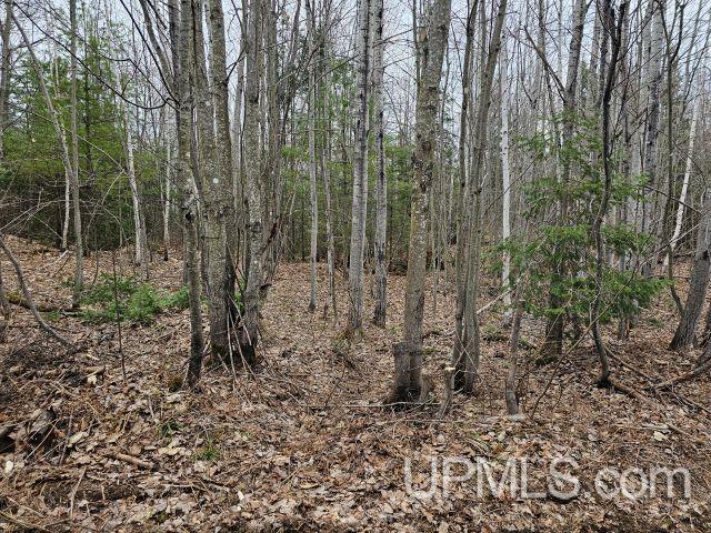 40-acres 40-acres Off Co Road Ishpeming, MI 49849 - Photo 4 of 4