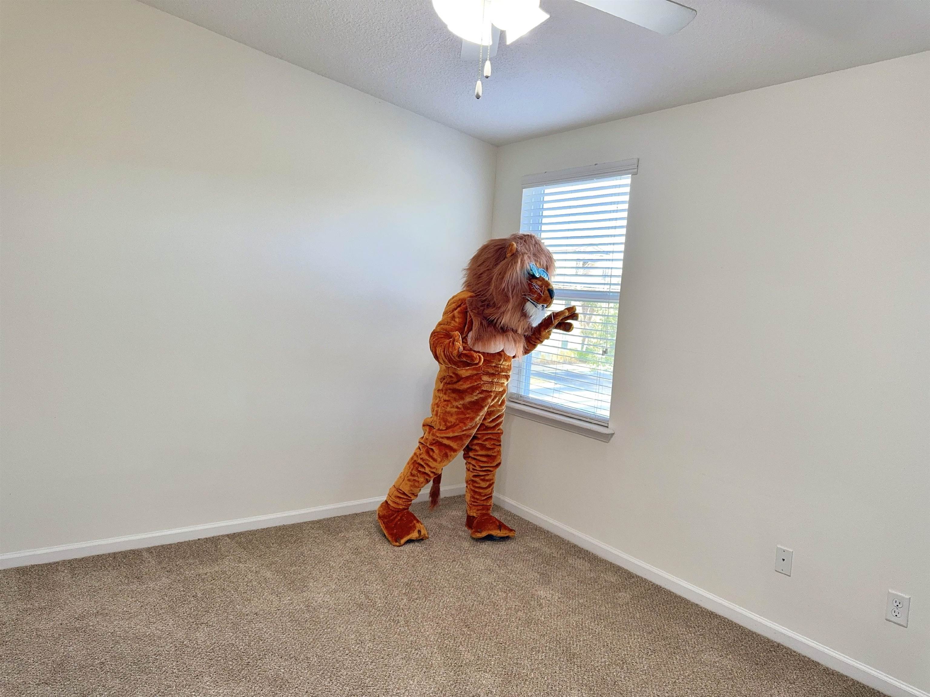 2261 Golden Lake Loop St. Augustine, FL 32084 - Photo 20 of 43 a view of an empty room with a window