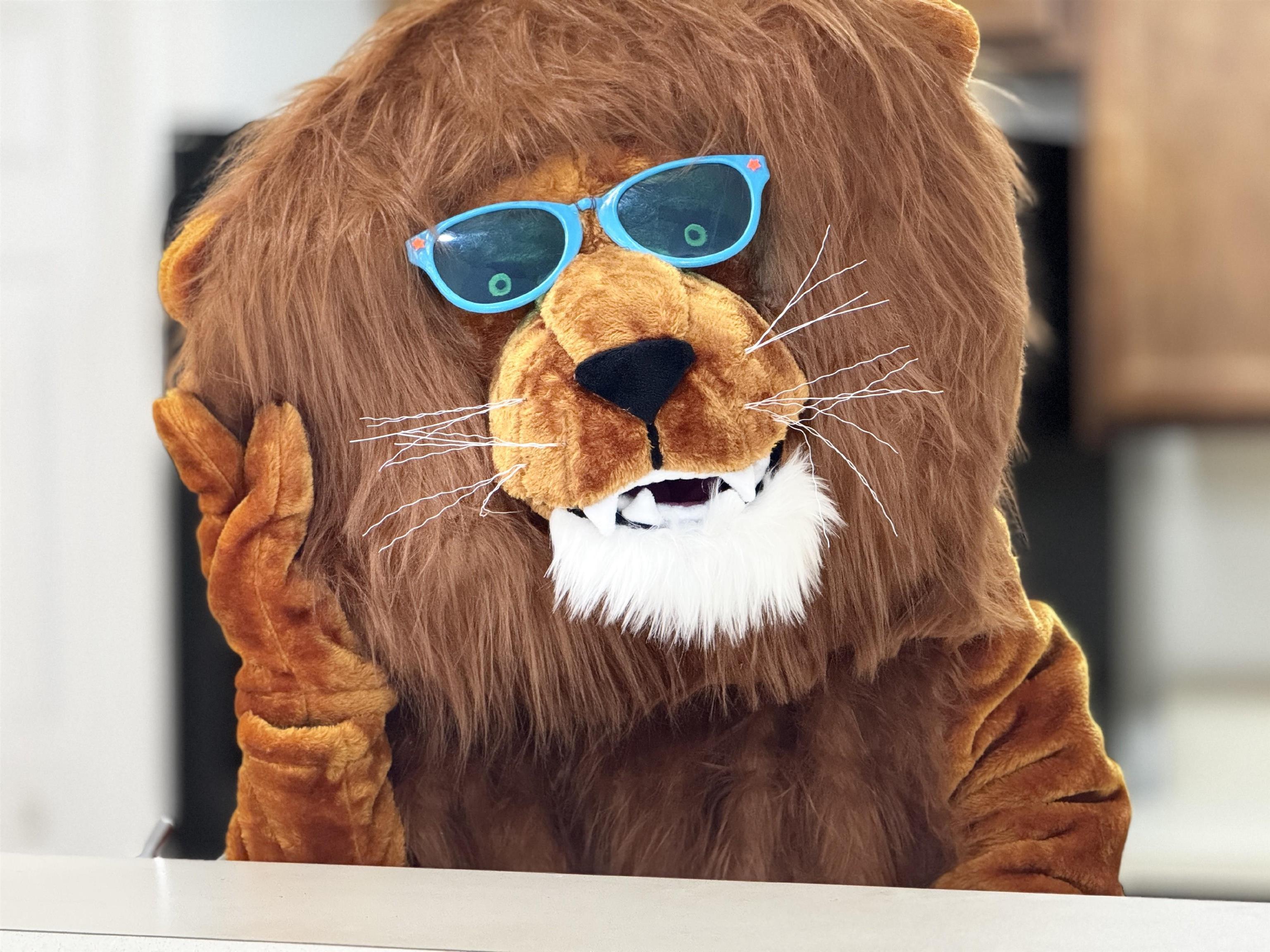 2261 Golden Lake Loop St. Augustine, FL 32084 - Photo 2 of 43 a kitchen with a sink and a mirror