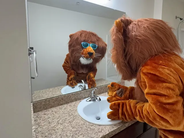a bathroom with a sink and mirror