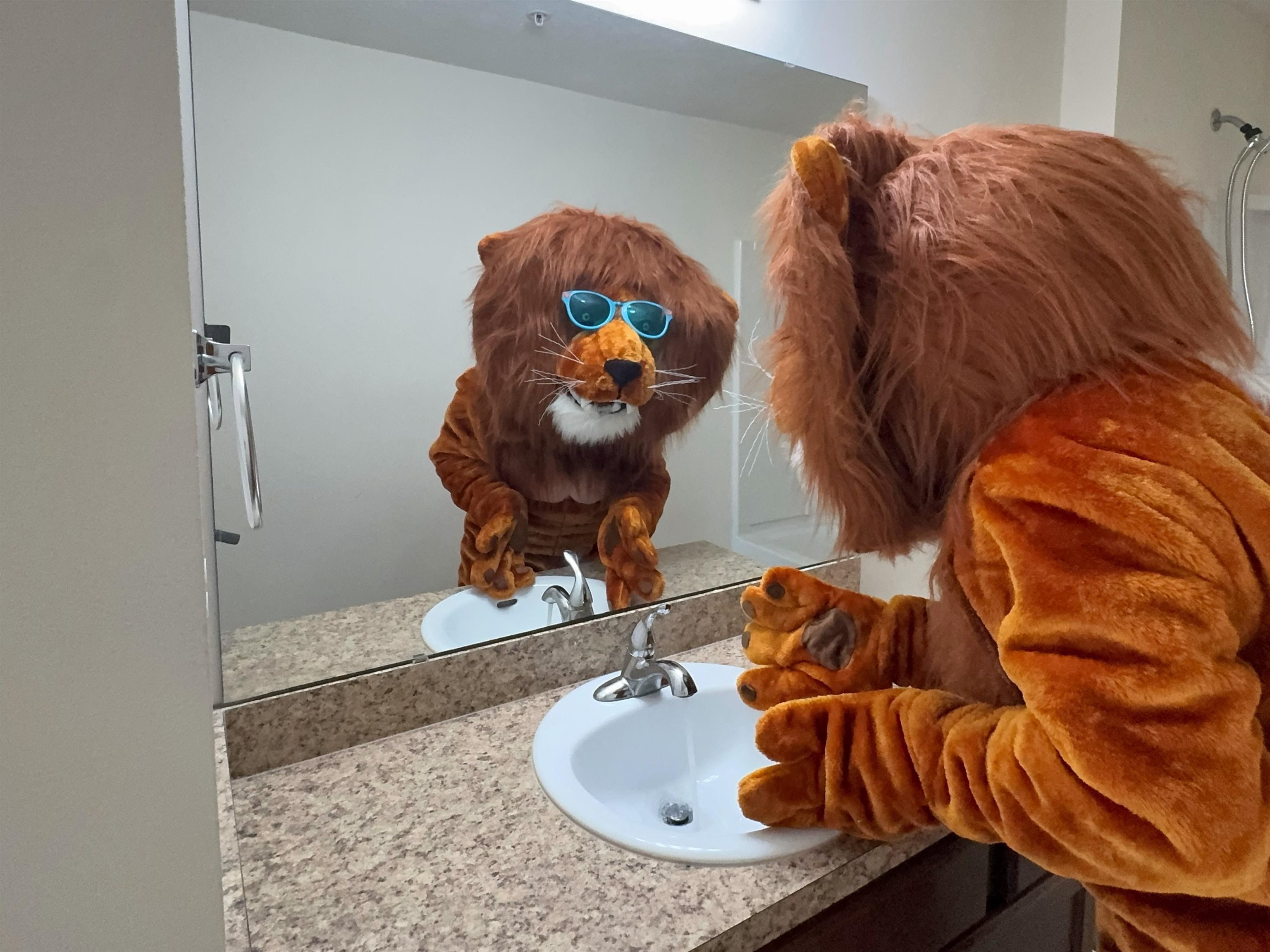 2261 Golden Lake Loop St. Augustine, FL 32084 - Photo 25 of 43 a bathroom with a sink and mirror