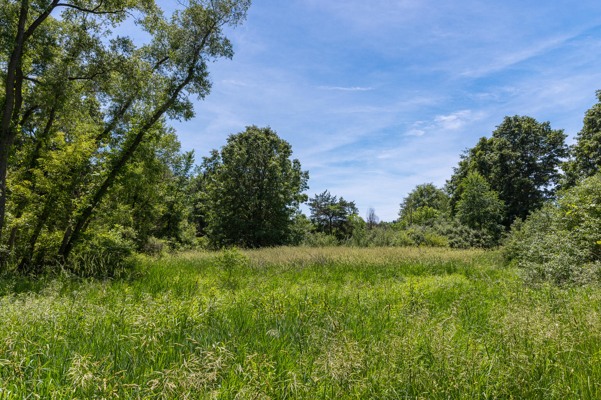 28 28 Mile Road Albion, MI 49224 - Photo 26 of 41 28 Mile -28
