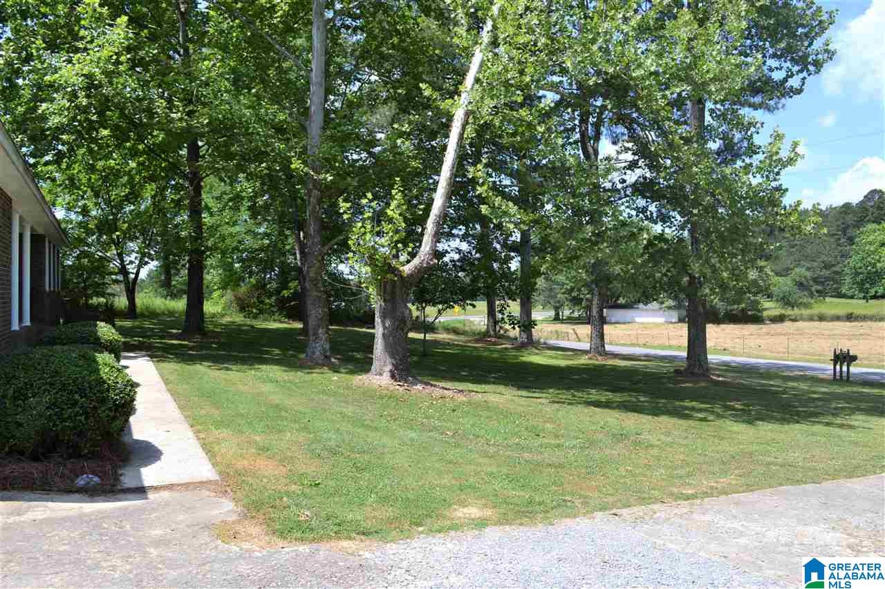 4231 Hopper Road Altoona, AL 35952 - Photo 36 of 39