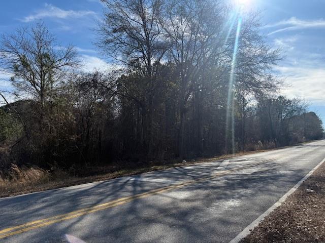 0 Pollard Road Temple, GA 30179 - Photo 2 of 4 a backyard of a house with lots of green space