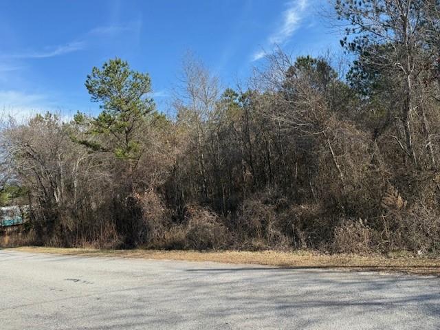 0 Pollard Road Temple, GA 30179 - Photo 3 of 4 a view of a yard