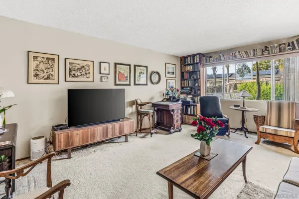 a living room with furniture potted plant and a flat screen tv