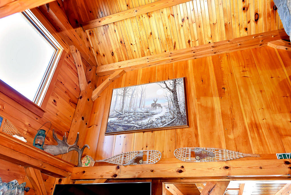 481 Mile Square Road Avon, ME 04966 - Photo 22 of 50 Magical Moments Photography-24