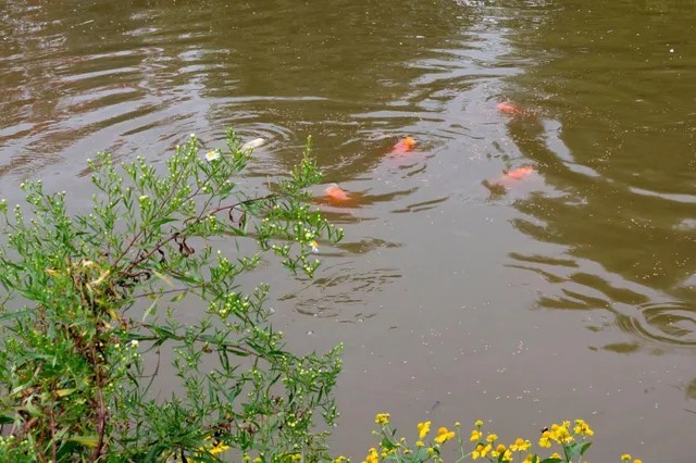 $649,000 | 2131 21st Avenue, Eau Galle, WI 54002