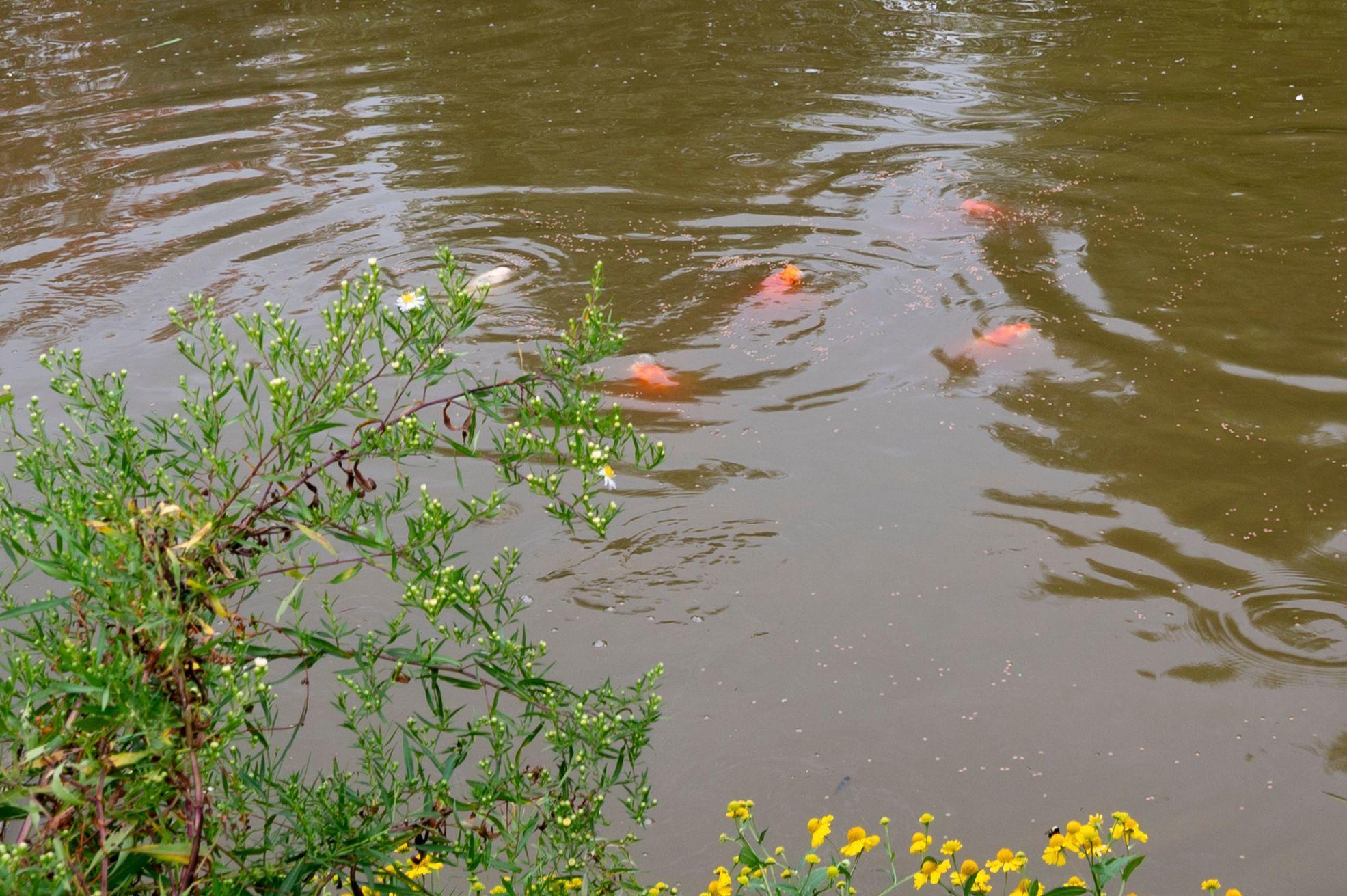 2131 21st Avenue Baldwin, WI 54002 - Photo 32 of 36