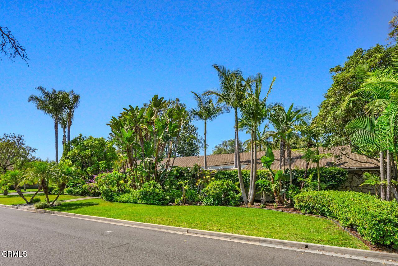 a view of a house with a yard and a palm tree