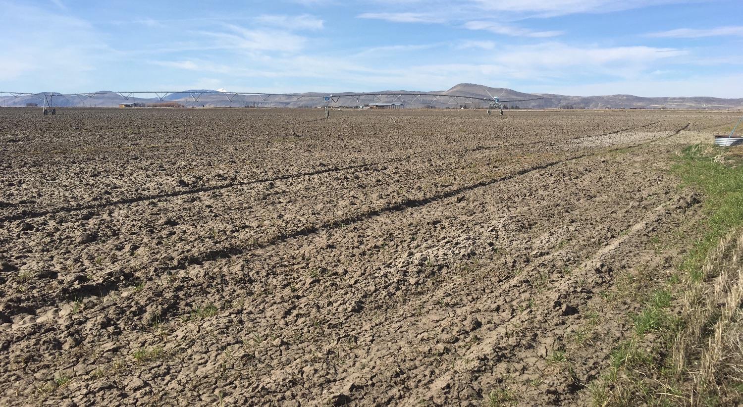 22112 Zlabek Road Tulelake, CA 96134 - Photo 1 of 10 Primary Photo