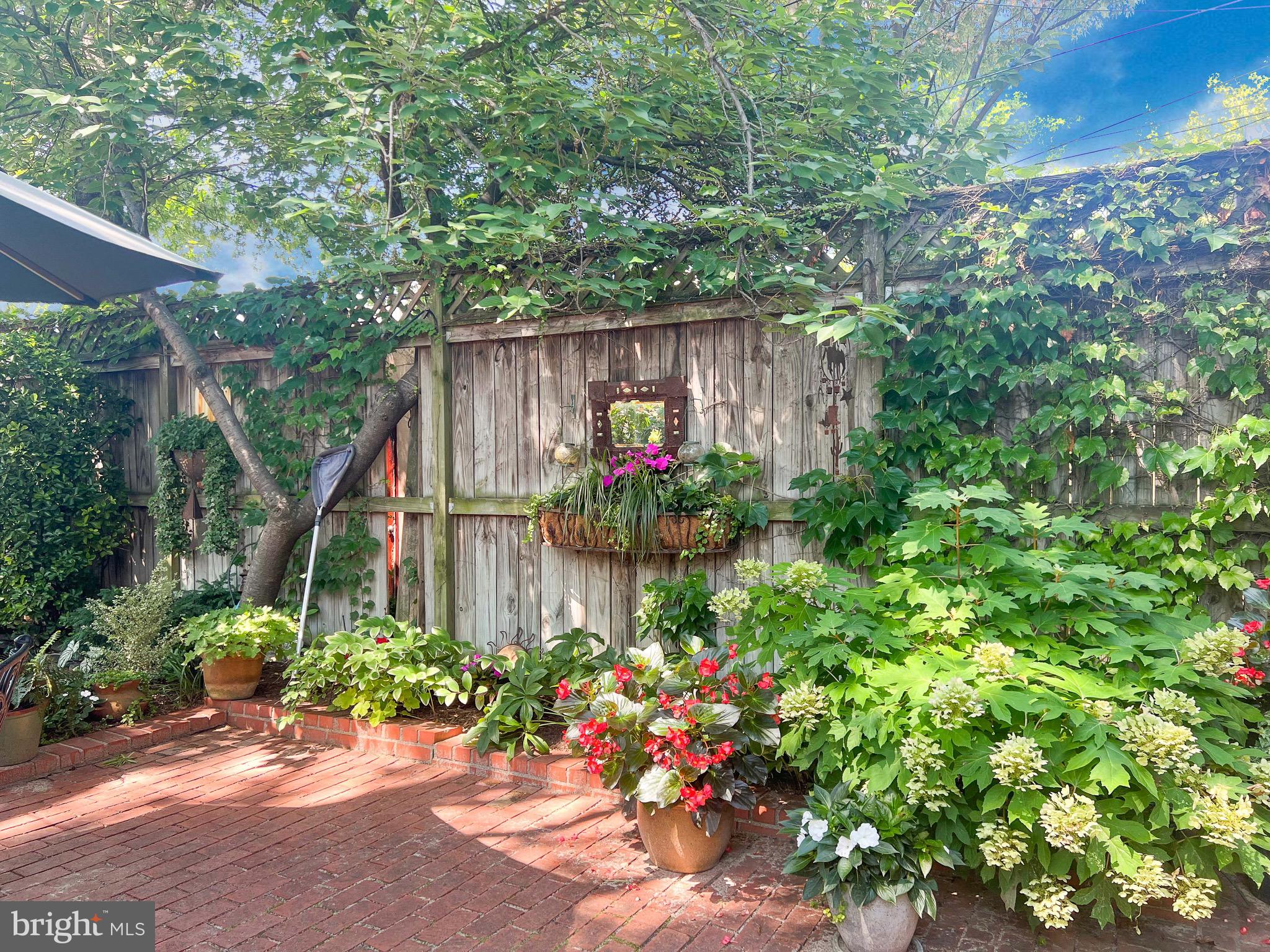 323 E Street Northeast Washington, DC 20002 - Photo 47 of 84 Lovely rear gardens