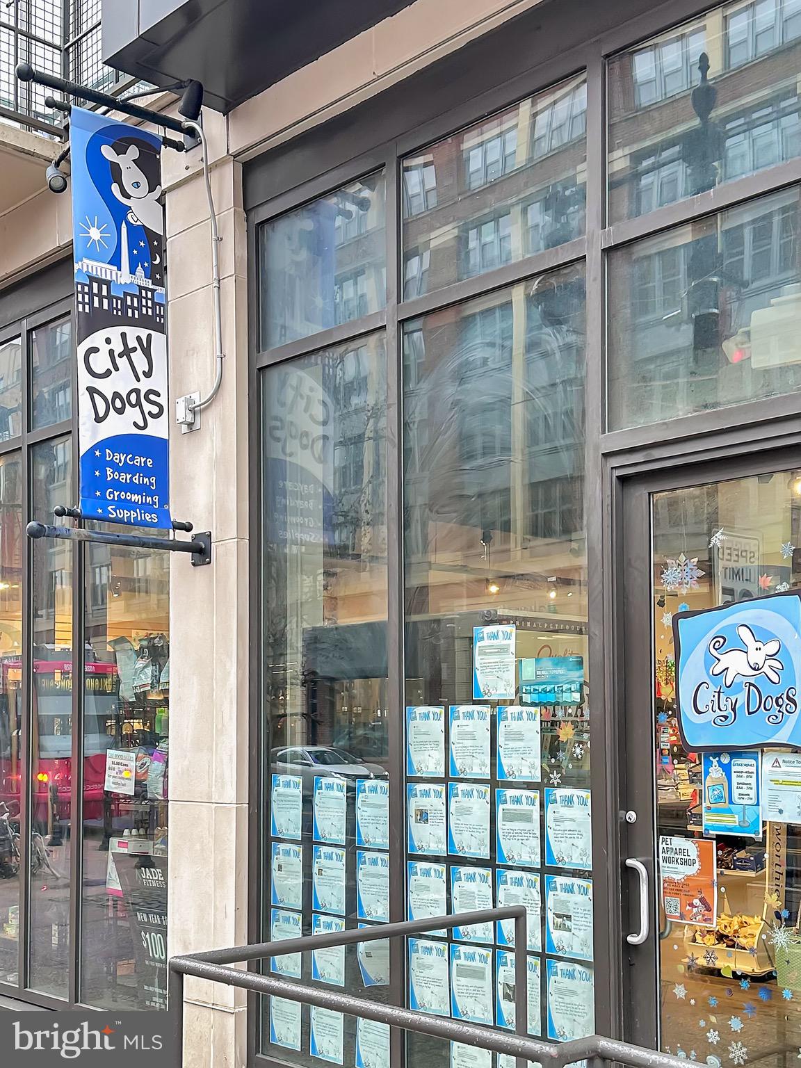 323 E Street Northeast Washington, DC 20002 - Photo 69 of 84 City Dogs on H Street, NE