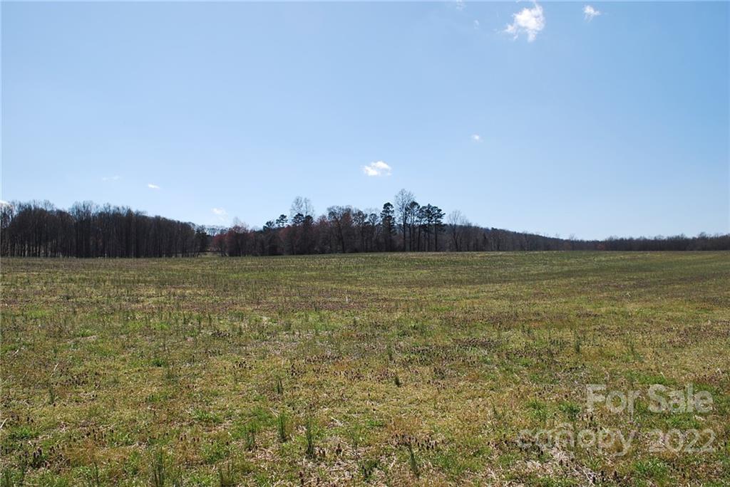 0 Trumpet Branch Road Statesville, NC 28625 - Photo 6 of 7 Gallery Image 6