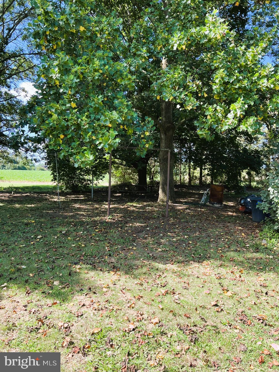 34 East Finley Road Bridgeton, NJ 08302 - Photo 5 of 22