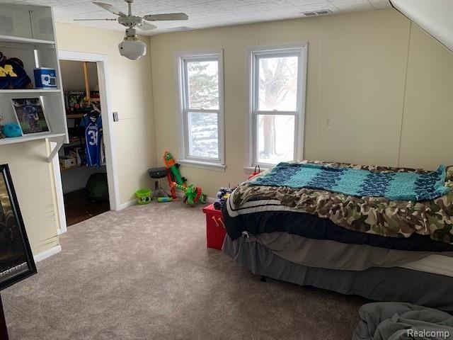 3315 Croswell Road Croswell, MI 48422 - Photo 20 of 24 IMG_4580.jpg