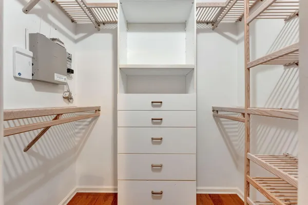 a view of a yard with plants and trees