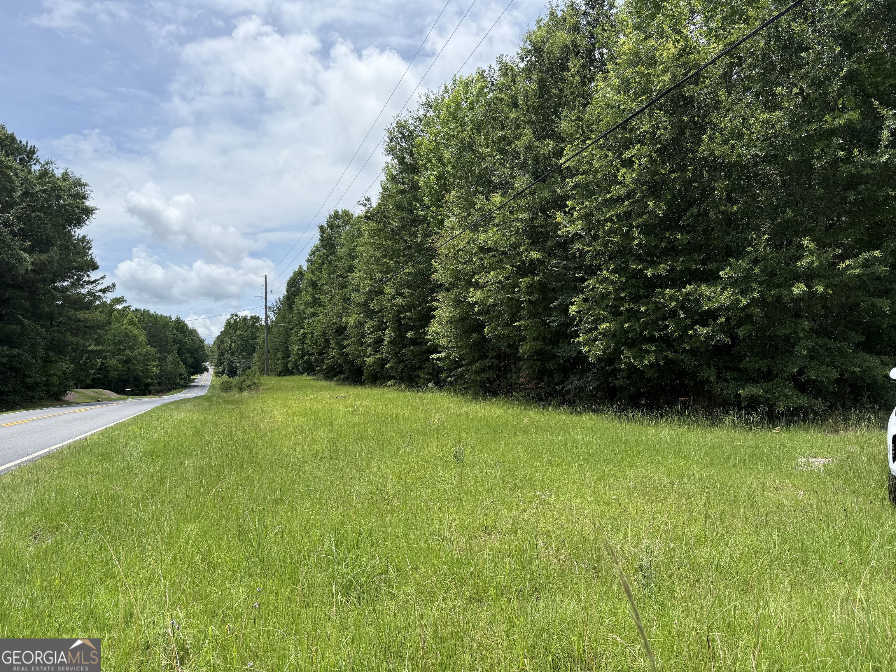 148 Hillview Road, Unit LOT#148 Hampton, GA 30228 - Photo 2 of 6