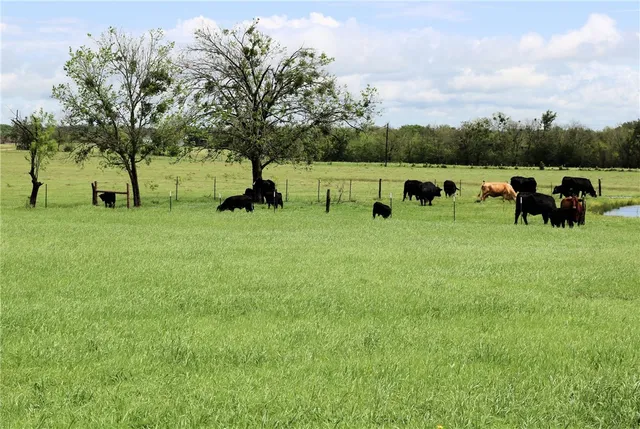 a view of an outdoor space with a lake view