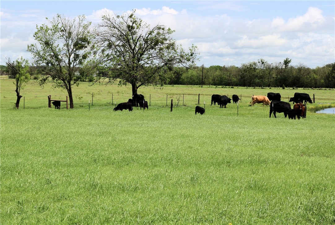 144 County Road 151 Riesel, TX 76682 - Photo 42 of 50 a backyard of a house with barbeque oven