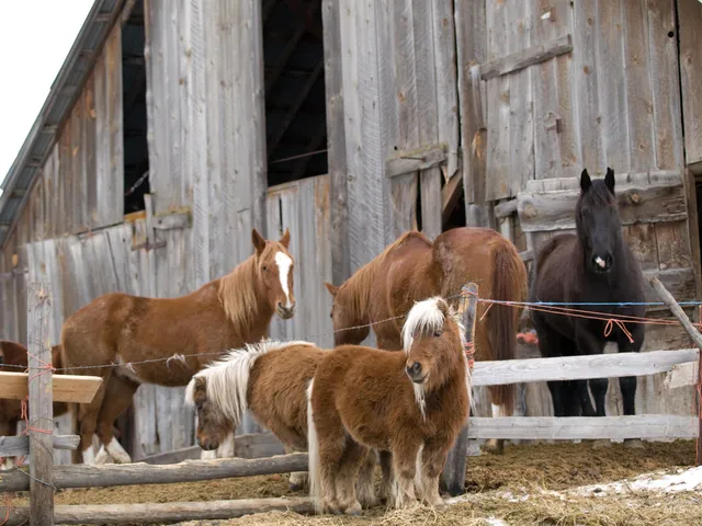 $75,000 | 8 Blk, Garden Valley, ID 83622