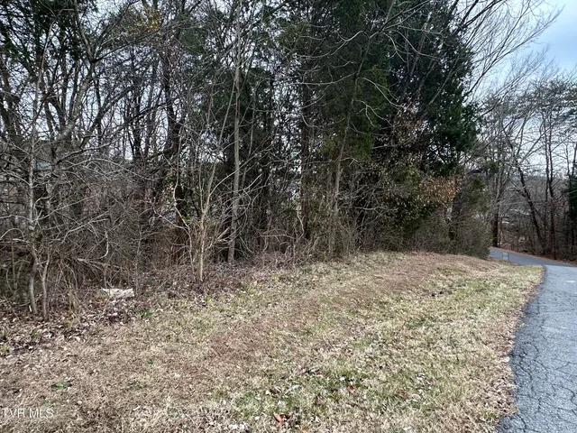 $14,900 | Tbd Lowrance Drive, Kingsport, TN 37660