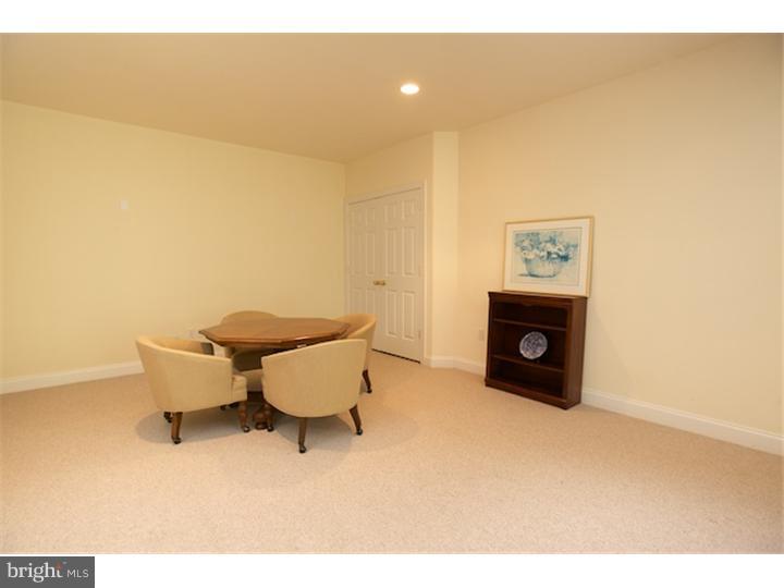 169 Harvey Road Chadds Ford, PA 19317 - Photo 22 of 25 Basement - Finished