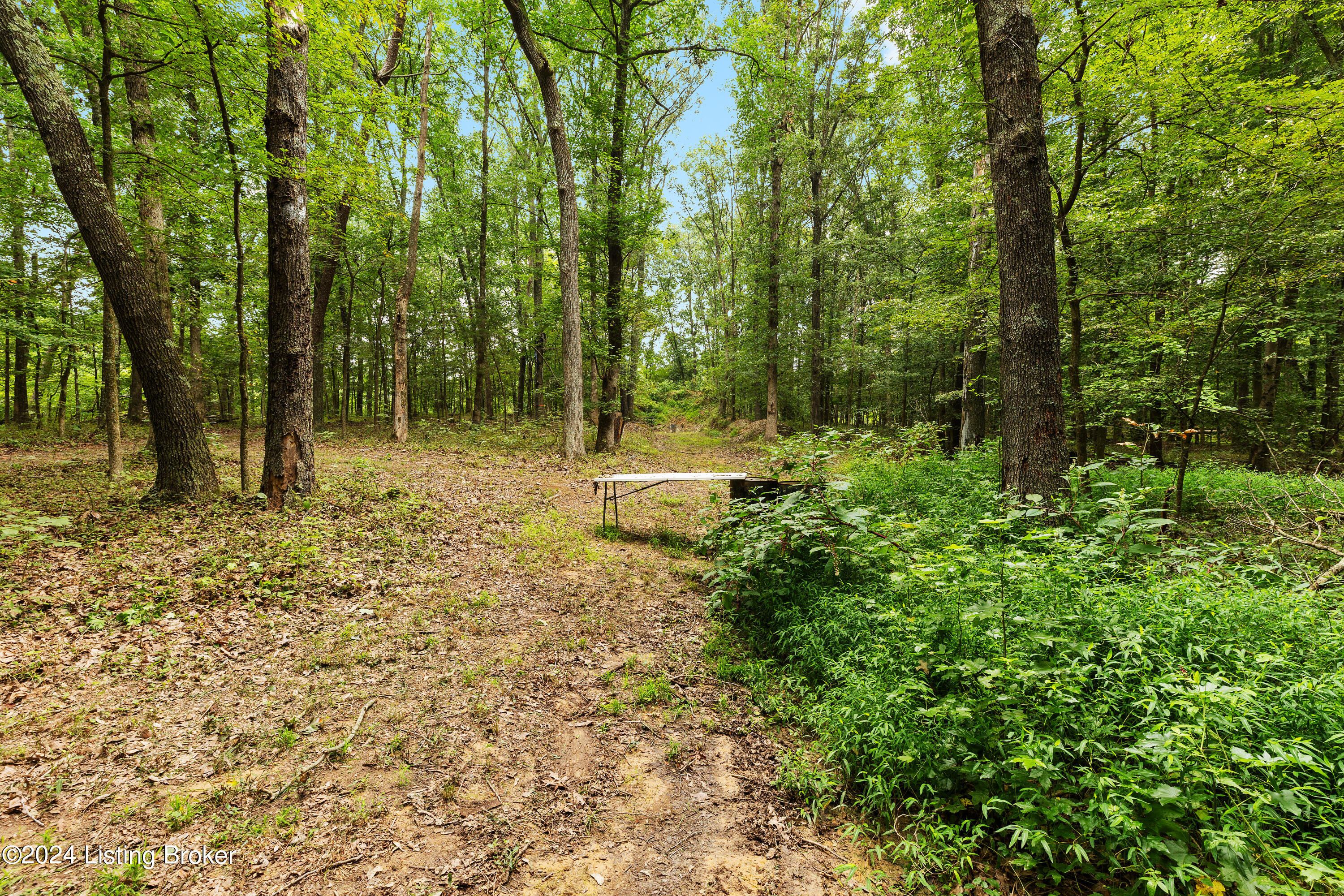 6088 Nat Rogers Road Boston, KY 40107 - Photo 38 of 52 6088 Nat Rogers Rd-39