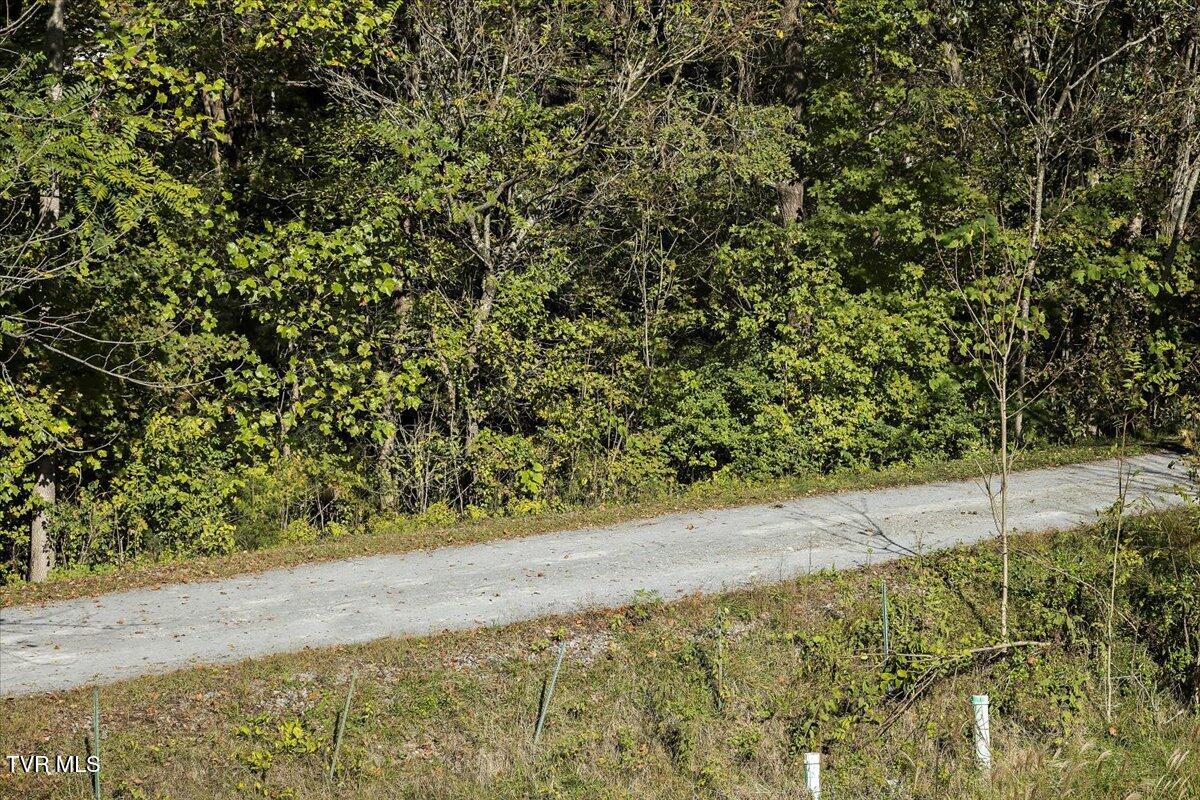1001 Cedar Grove Road Johnson City, TN 37601 - Photo 36 of 44 36-128A1619