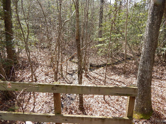0 Waterfence Road Shacklefords, VA 23156 - Photo 8 of 10 Gallery Image 8