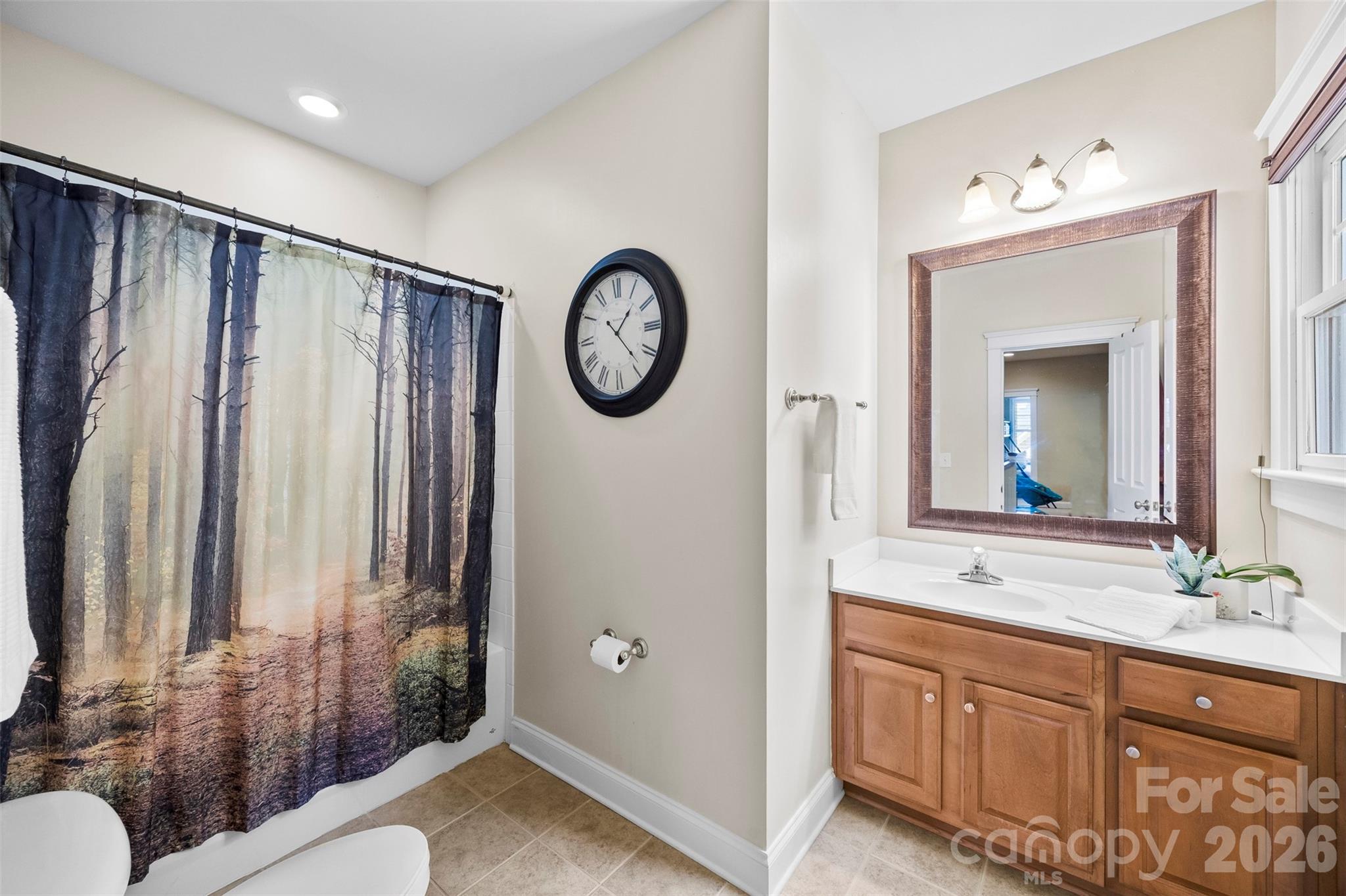 606 Andover Lane Tega Cay, SC 29708 - Photo 30 of 48 a bathroom with a sink a mirror and a toilet