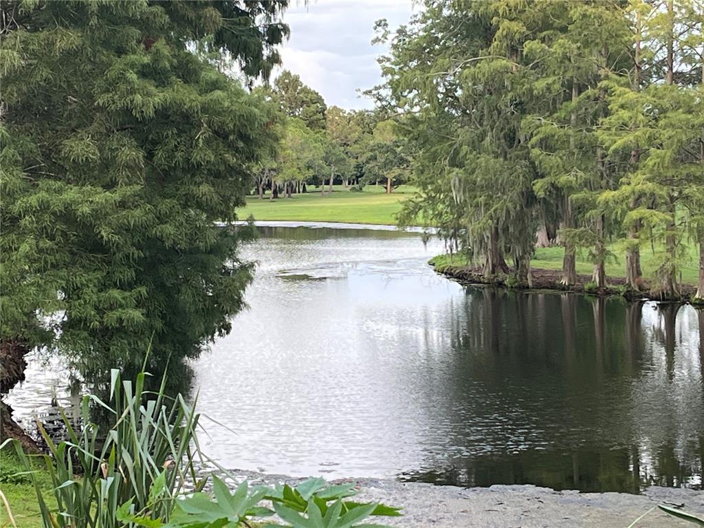 346 South Ranger Boulevard Winter Park, FL 32792 - Photo 25 of 31